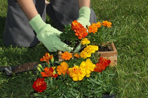Seasonal lawn care practices in Euston