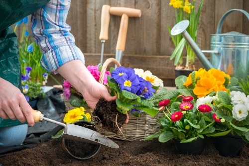 Before-and-after garden maintenance in Euston